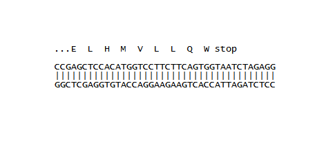 DNA