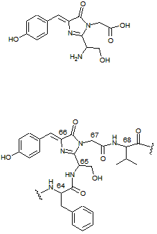 chromo